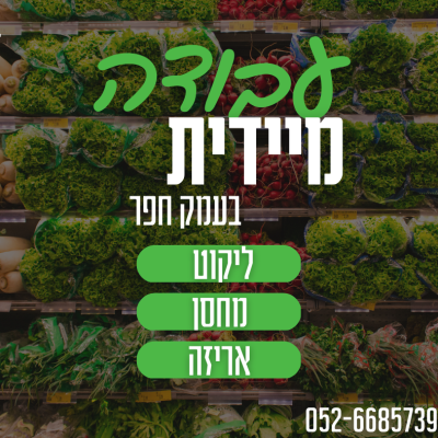 דרושים/ות לחברה בינלאומית>> תנאים מעולים!