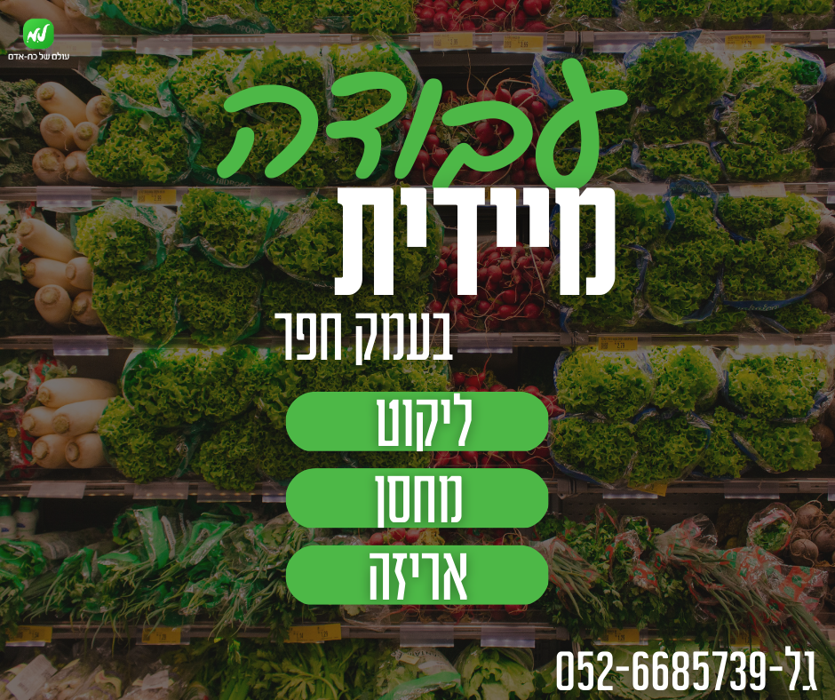 דרושים/ות לחברה בינלאומית>> תנאים מעולים!