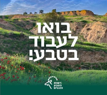 עובדי אתרים