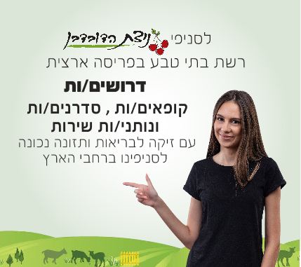 ניצת הדובדבן מגייסת קופאים/ות, סדרנים/ות ונותני/ות שירות – תנאים טובים למתאימים/ות!!