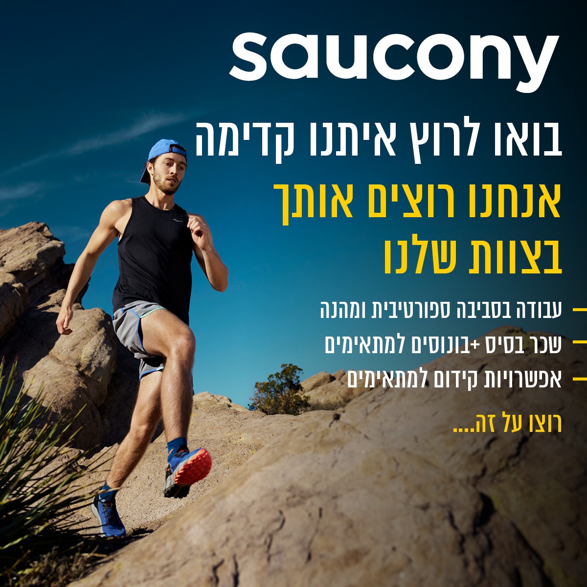 מוכרנים לסניפי הרשת