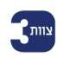 צוות 3