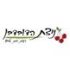 ניצת הדובדבן